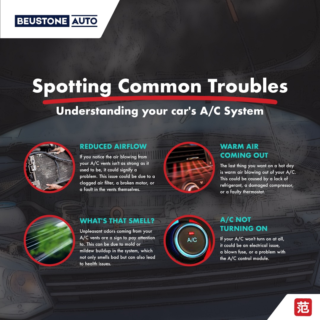 473078583 487920750994108 5289614175957914730 n